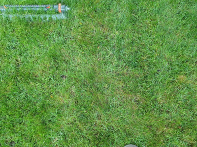 20200530_201329.jpg