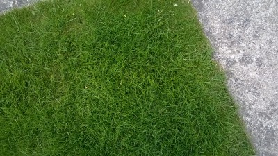 WP_20160521_030.jpg