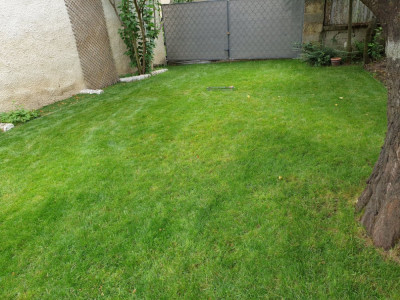 20200606_104335.jpg