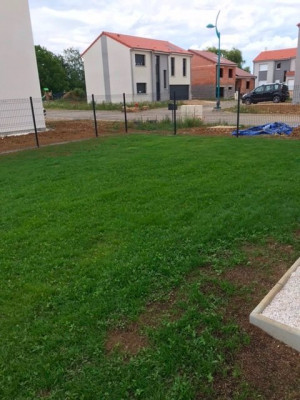 gazonphoto2.jpeg