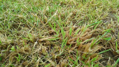 20160522_152725.jpg