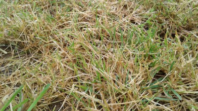 20160522_152715.jpg