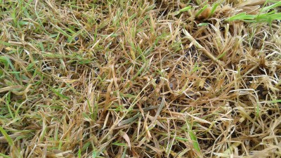 20160522_152710.jpg