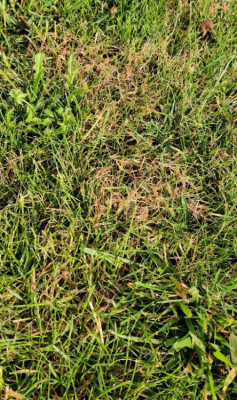 IMG_20200619_075151.jpg