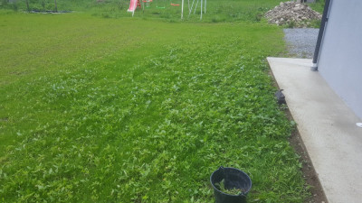 20200618_165538.jpg