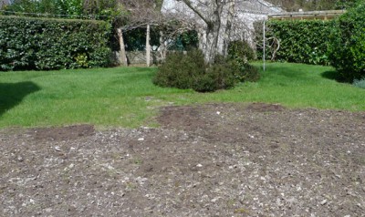 wP1090560.jpg