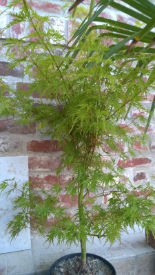 WP_20160525_002.jpg