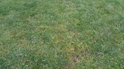 20200630_195058.jpg