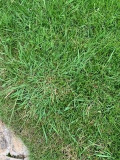 IMG_8674.jpg