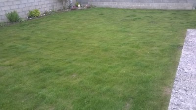 WP_20160526_003.jpg