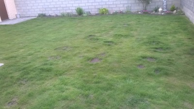 WP_20160526_009.jpg