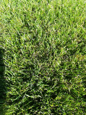 IMG_20200708_181853.jpg