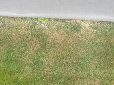 20200723_181656.jpg