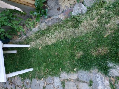 IMG_20200723_073909.jpg