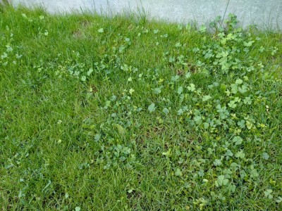 IMG20200730081446.jpg