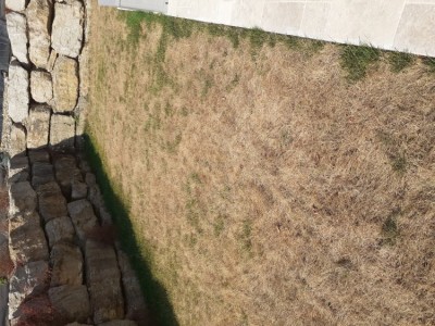 20200730_101854.jpg