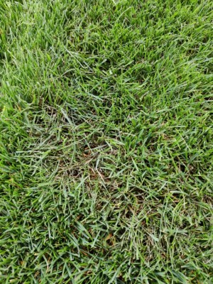 IMG_20200815_135612.jpg