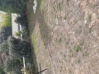20200815_172704.jpg