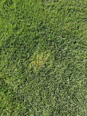 IMG_20200822_114116.jpg