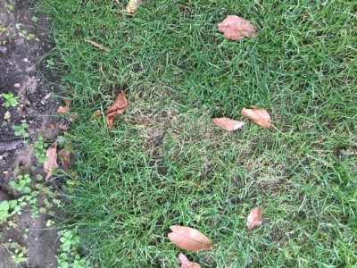 3D5096D7-FF1A-4961-A028-4DE2BFFBD5BA.jpeg