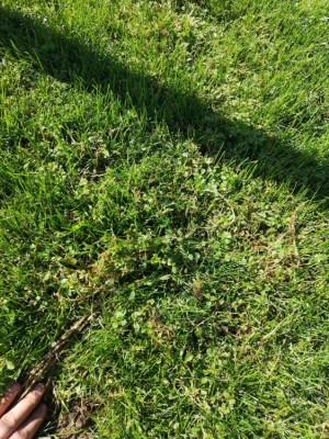 IMG_20200901_113856.jpg