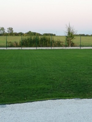 IMG_20200905_202544.jpg
