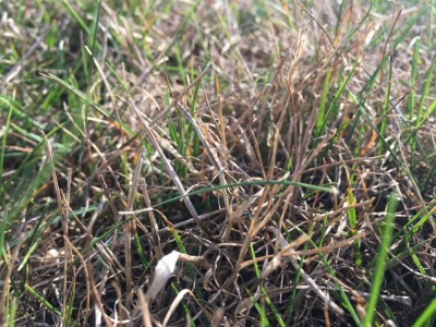 img_8642.jpg