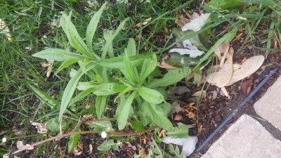 20160602_180559.jpg