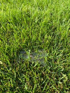 1600670997718_IMG_3286.jpg