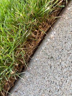 1600671239372_IMG_3294.jpg