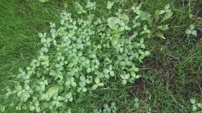 20160602_180519.jpg