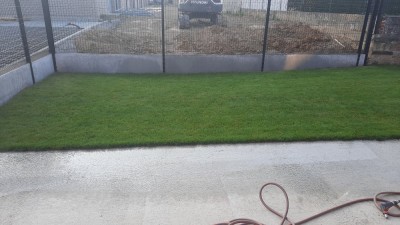 20200919_084235.jpg