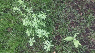 20160602_180513.jpg