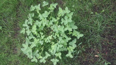 20160602_180503.jpg