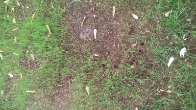 20160602_182530.jpg