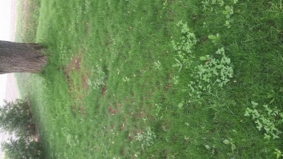 20160602_182516.jpg