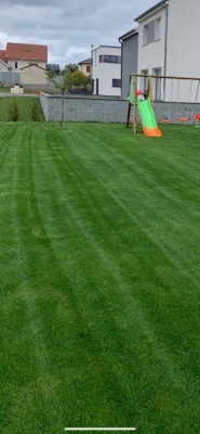 B66DAE0A-096B-4558-82A8-15A73B2A6AF4.jpeg