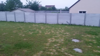 tmp_12273-20160604_0604411987737610.jpg