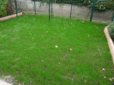 P1200738.JPG