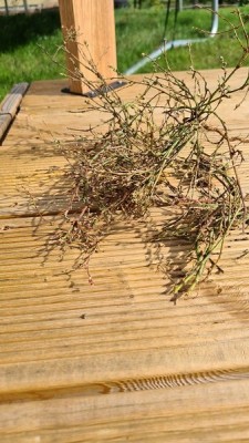 20201008_135543.jpg