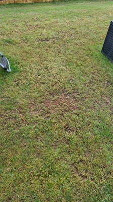 20201009_085005.jpg