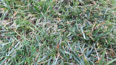 20201025_103213.jpg