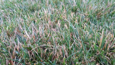 20201025_103256.jpg