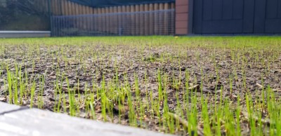 20201026_130908.jpg