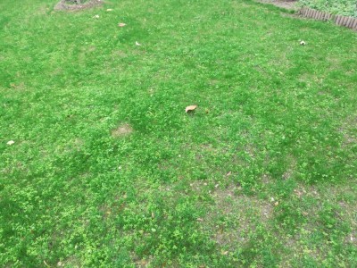IMG_20201030_114929.jpg