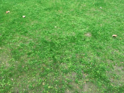 IMG_20201030_114925.jpg