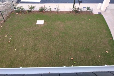 IMG_20201107_0756008.jpg