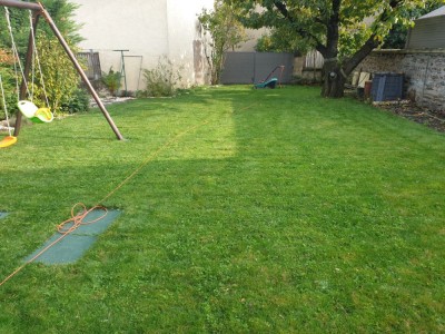 20201024_155430.jpg