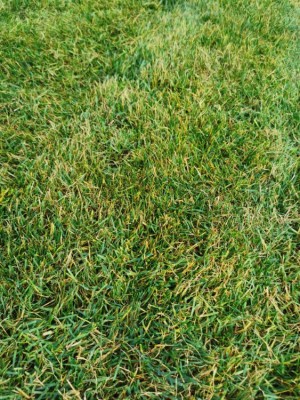 IMG_20201113_142349.jpg