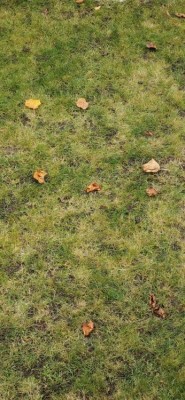 Screenshot_20201118_195621_com.android.gallery3d.jpg